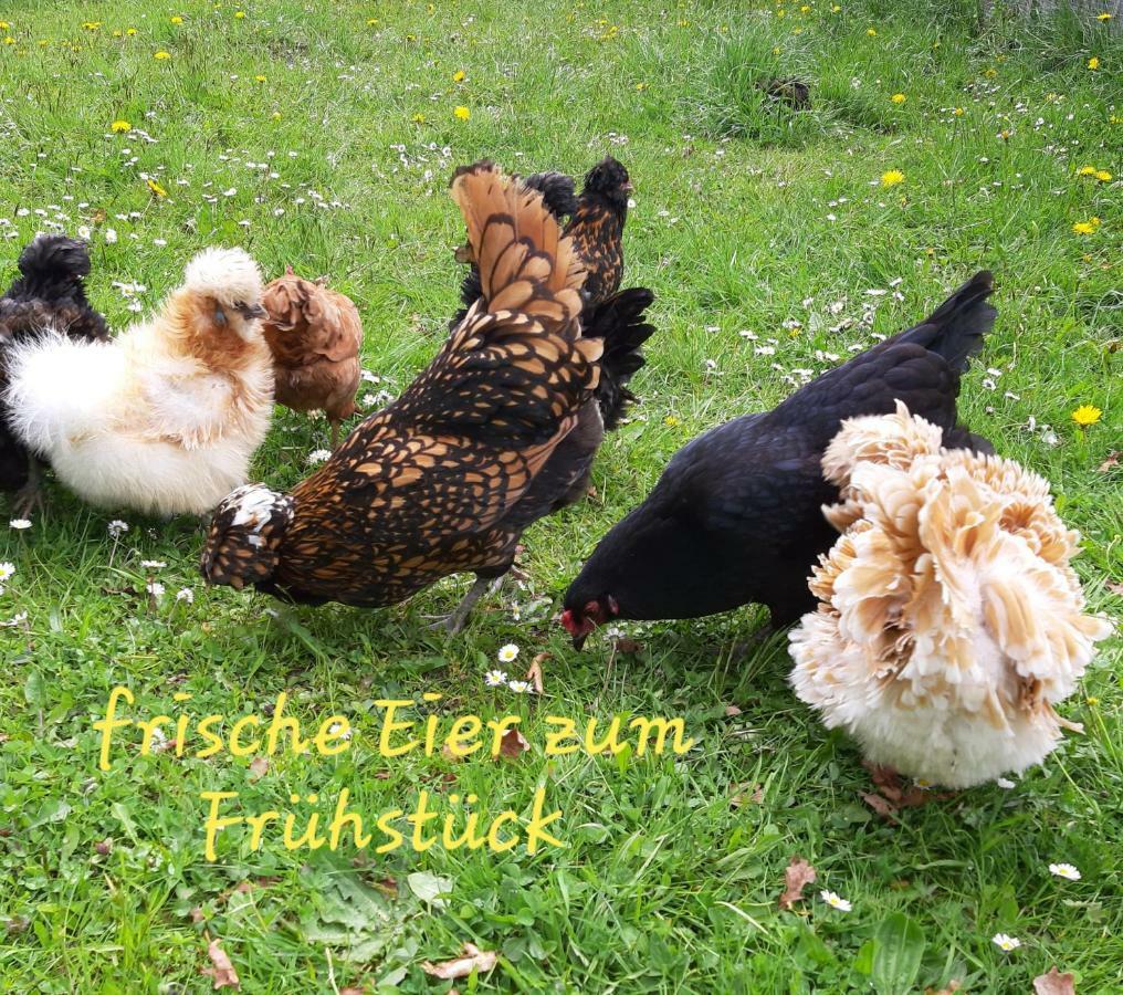 Ferienwohnung Andrea Sankt Gallenkirch Ngoại thất bức ảnh